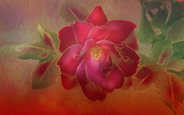 Картинка рисованное цветы роза текстура фон