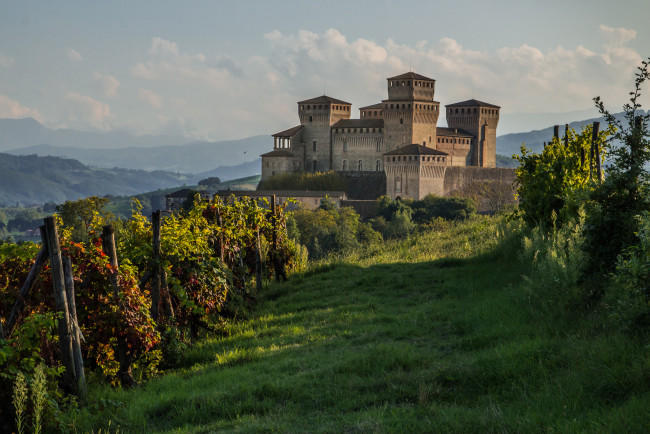 Обои картинки фото castello di torrechiara, города, - дворцы,  замки,  крепости, виноградник, замок