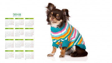 обоя календари, животные, белый, фон, собака