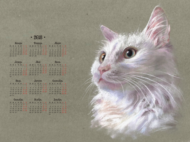 Обои картинки фото календари, рисованные,  векторная графика, кошка, морда