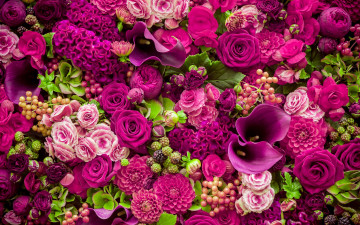 Картинка цветы разные+вместе roses purple romantic pink бутоны розовые розы flowers beautiful