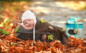 Картинка разное дети ребенок корзина листья осень