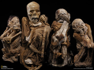 Картинка разное кости рентген мумии