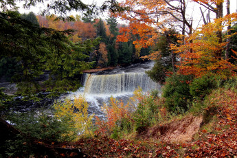 обоя природа, водопады, осень, вода, поток, листья, деревья