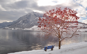 Картинка природа реки озера скамейка снег дерево вода гора