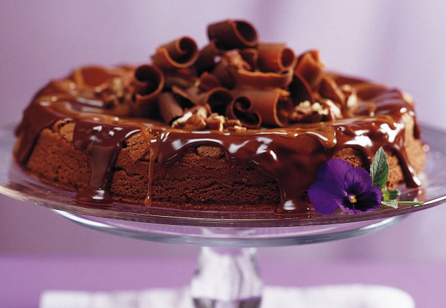 Обои картинки фото еда, пирожные, кексы, печенье, шоколад, цветок