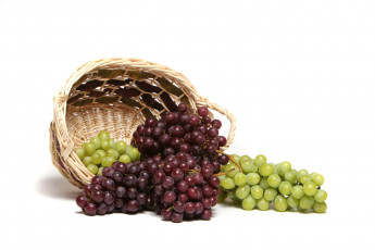 Картинка еда виноград корзина