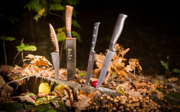 Картинка оружие холодное листья ножи
