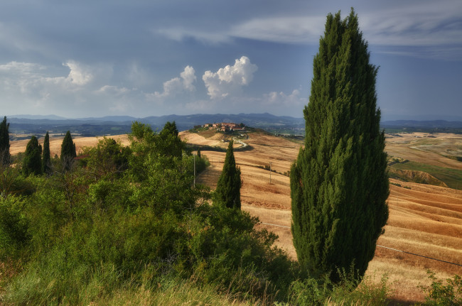 Обои картинки фото природа, пейзажи, дома, холмы, италия, тоскана, кипарис, дорога