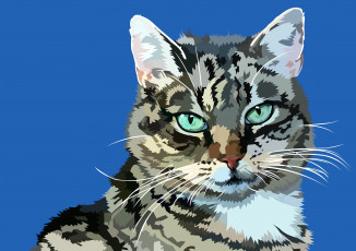 Картинка векторная+графика животные+ animals фон усы мордочка мурзик кот