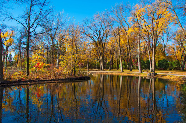 Обои картинки фото природа, реки, озера, отражение, пруд, парк, деревья, осень