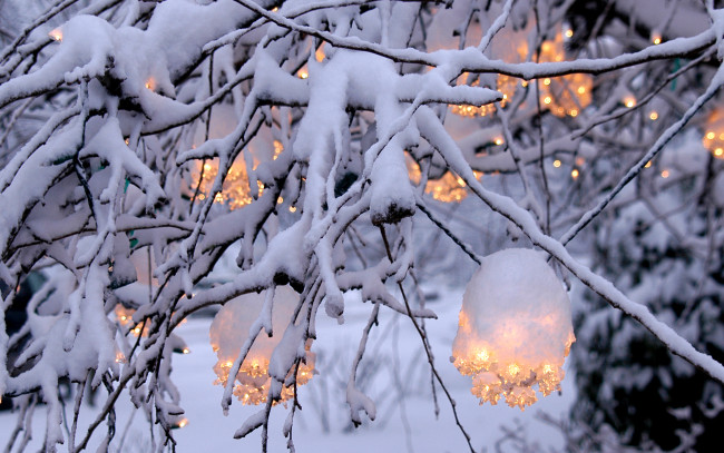 Обои картинки фото природа, зима, ветка, снег