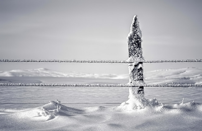 Обои картинки фото природа, зима, снег, забор