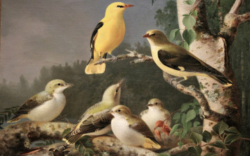Картинка рисованное живопись птицы