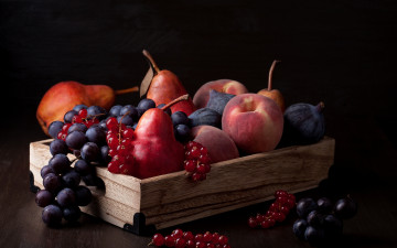 Картинка еда фрукты +ягоды натюрморт