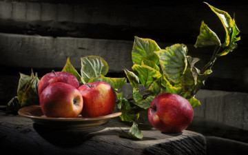 Картинка еда яблоки листья миска