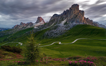 Картинка природа горы луга дорога серпантин