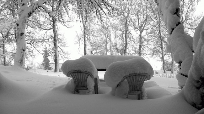 Обои картинки фото природа, зима, снег, парк, иней