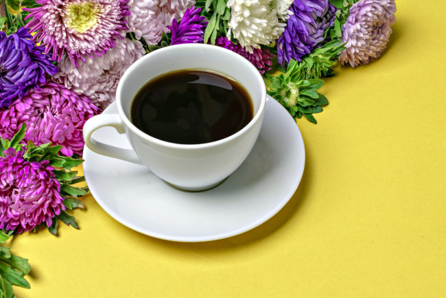 Обои картинки фото еда, кофе,  кофейные зёрна, чашка, астры