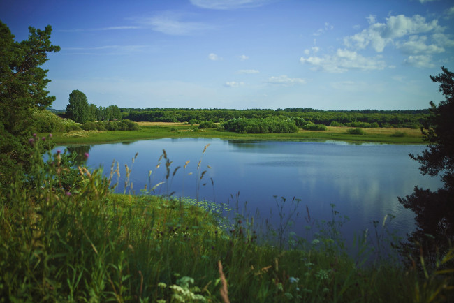 Обои картинки фото озеро, природа, реки, озера, россия, деревья, пейзаж, коми