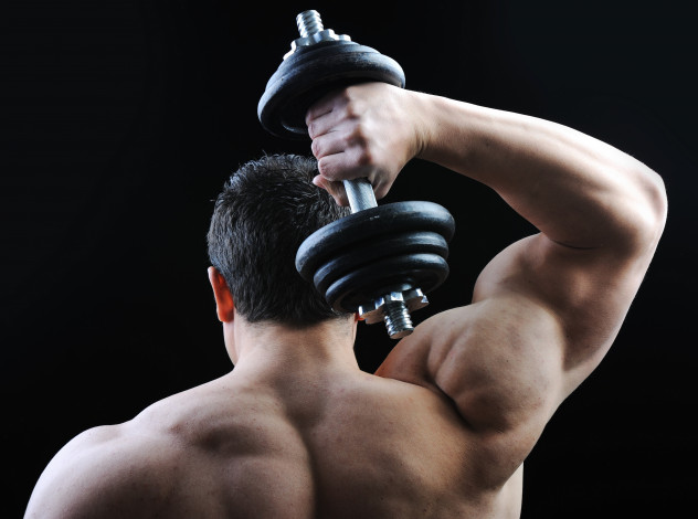 Обои картинки фото спорт, body building, спина, плечи, мужчина, мышцы, мышца, бодибилдер, гантели, бодибилдинг