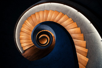 Картинка интерьер холлы +лестницы +корридоры архитектура деревянная лестница винтовая вихрь автор дарья клепикова