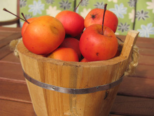 Картинка еда Яблоки стол кадушка яблоки