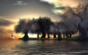 Картинка 3д графика nature landscape природа деревья река цапля