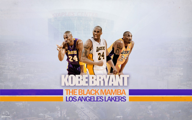 Обои картинки фото kobe, bryant, 2012, спорт, nba, звезда, нба, баскетбол