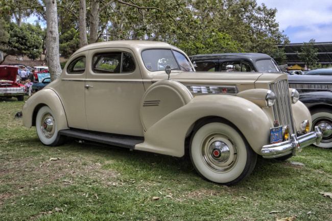 Обои картинки фото 1939 packard 1703 2-door coupe, автомобили, выставки и уличные фото, выставка, автошоу