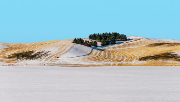 Картинка природа пейзажи деревья поле снег