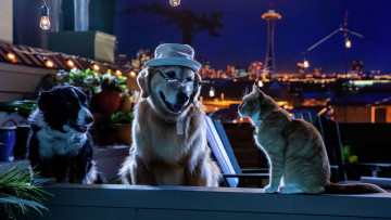 Картинка cats+&+dogs+3 +paws+unite+ +2020 кино+фильмы -unknown+ другое кошки против собак 3 лапы объединяйтесь фэнтези боевик комедия