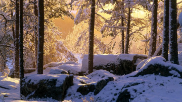 обоя природа, лес, зима, снег, свет, камни