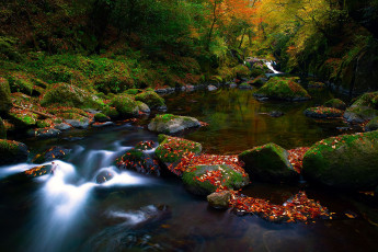 Картинка природа реки озера лес листья камни река осень деревья