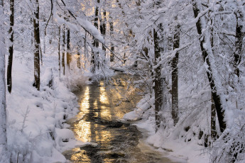обоя природа, зима, снег, лес, деревья