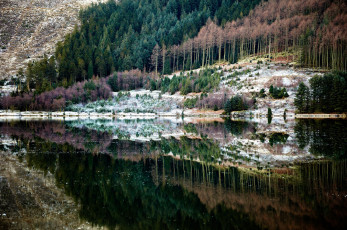 Картинка природа реки озера река лес деревья отражение