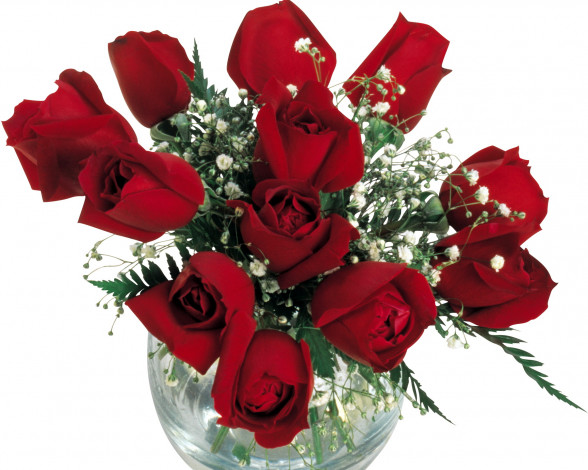 Обои картинки фото цветы, розы, гипсофила, ваза