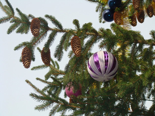 Обои картинки фото праздничные, Ёлки, елка, шишки, шарики