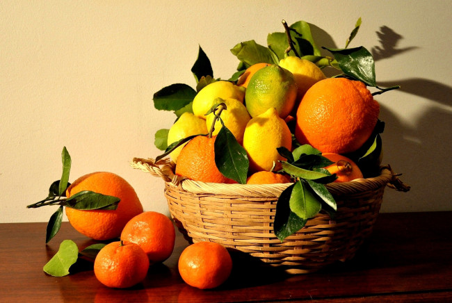 Обои картинки фото еда, цитрусы, апельсины, лимоны, корзина