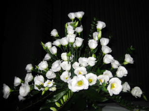 Картинка цветы эустома букет белые