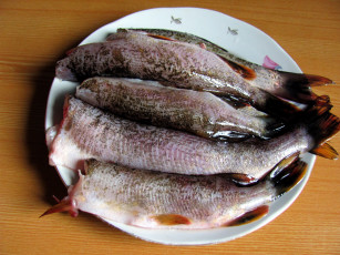 Картинка еда рыба +морепродукты +суши +роллы щука
