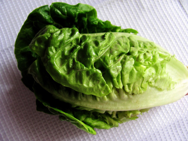 Обои картинки фото еда, овощи, салат