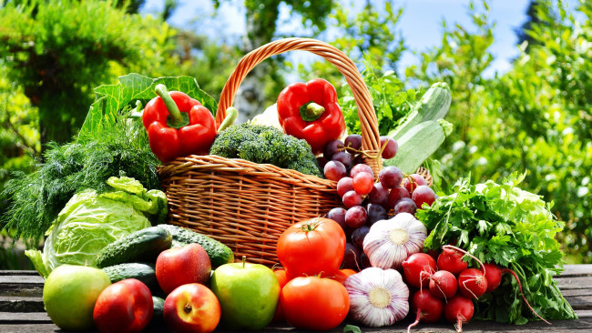 Обои картинки фото еда, фрукты и овощи вместе, яблоки, виноград, нектарины, кабачки, помидоры, перец, зелень, капуста, редис, томаты