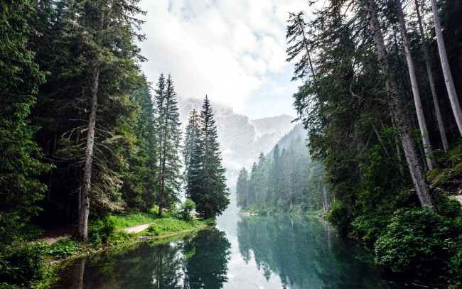 Обои картинки фото природа, реки, озера, горы, лес, елки, река, туман