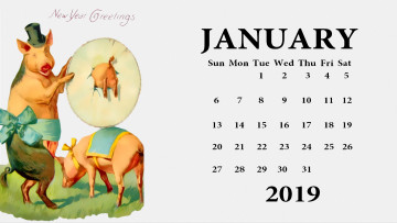 Картинка календари праздники +салюты свинья бант шляпа поросенок