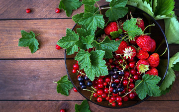 Картинка еда фрукты +ягоды ягоды клубника смородина листья
