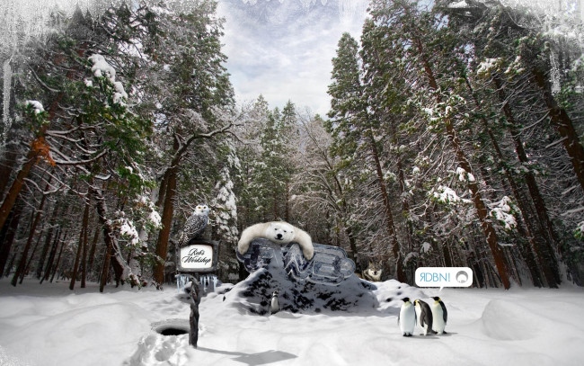 Обои картинки фото разное, компьютерный дизайн, лес, снег, зима, медведь, пингвины, сова