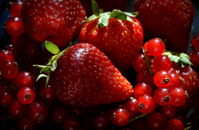 Обои картинки фото еда, фрукты,  ягоды, клубника, ягоды, смородина