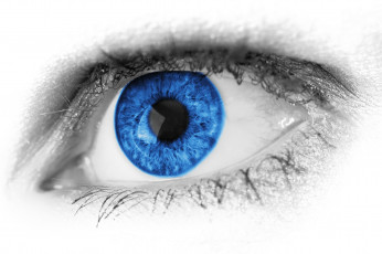Картинка разное глаза макро ресницы macro голубой глаз eyelashes blue eye