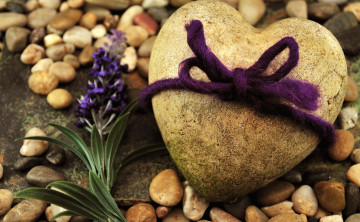 Картинка разное ракушки +кораллы +декоративные+и+spa-камни камни сердечко веревка лаванда
